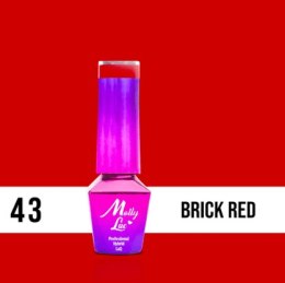 LAKIER MOLLY LAC ELITE WOMEN BRICK RED 5ml nr 43